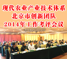 �ִ�ũҵ��ҵ������ϵ�����д����Ŷ�2014�깤����������