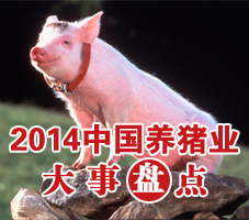 2014������ҵ�����̵�