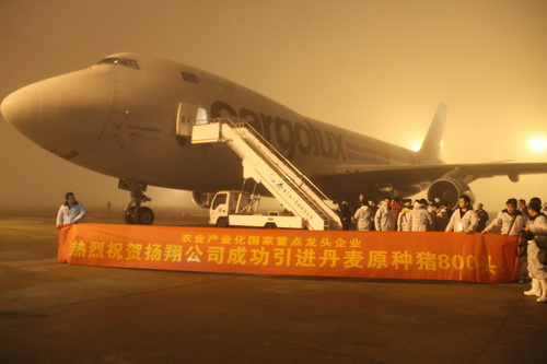 ר�������