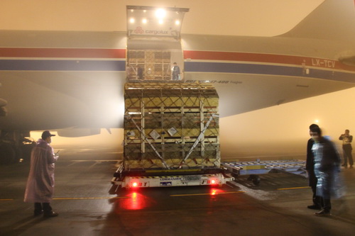 ��һ�������