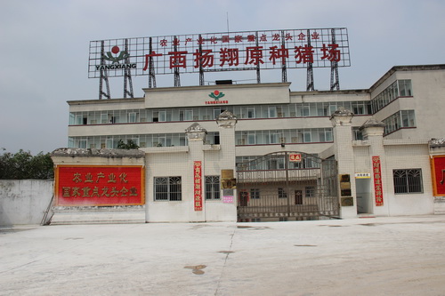 ��������ԭ����