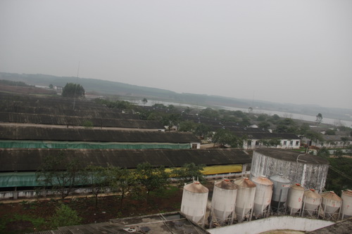 �������ԭ����