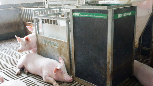 һ��һ��ʱ����ܣ�СС��������