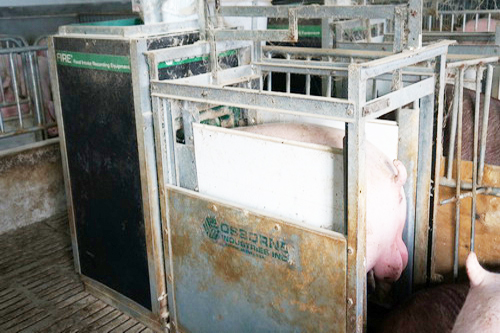 FIREȫ�Զ������������ܲⶨϵͳ