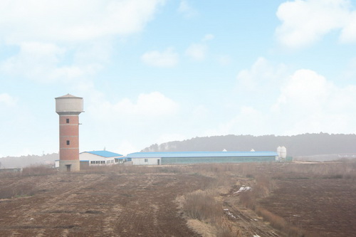 ���������Ĵ�����