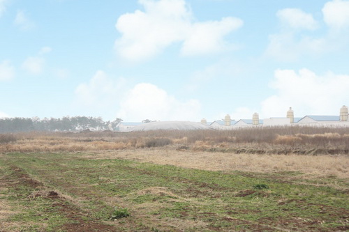 ��Լ�ɼ�����������װ��