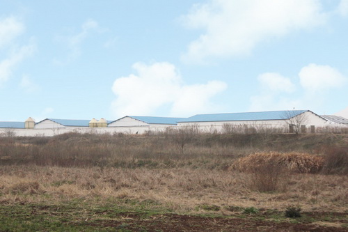 �ִ�������Զ��