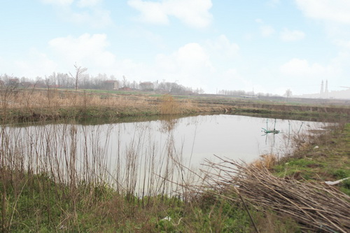 �Ը������С����