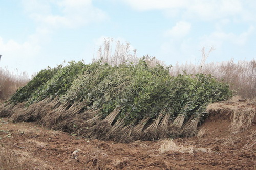 ��Ŀ���������õ��ģ��������Ѿ��͵�