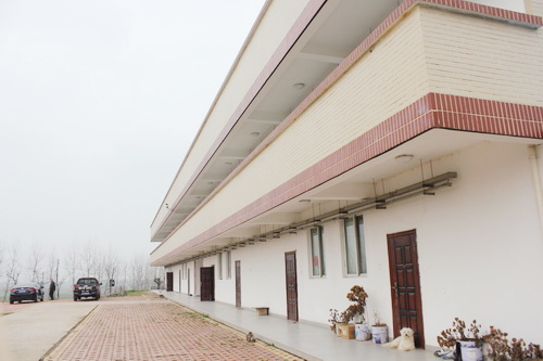 ����¥����