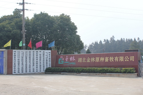 ռ��3000��Ķ�����ԭ�ֳ�