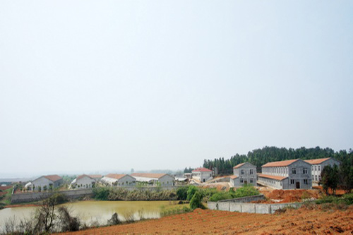 ռ��3000��Ķ�����ԭ�ֳ�