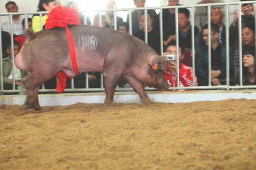 2013�꣬��˾�Ͳ�Ķ�����ֹ����ٻ�����������һ��