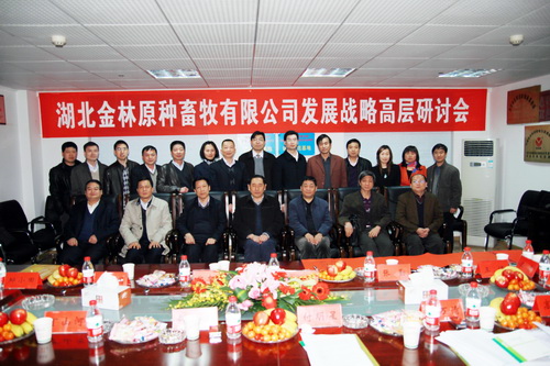 ��˾�����������֪��ר�ҡ����ڹ��̹滮