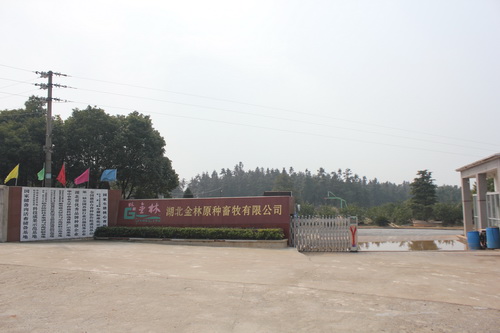 ����ԭ�ֳ���һ��������