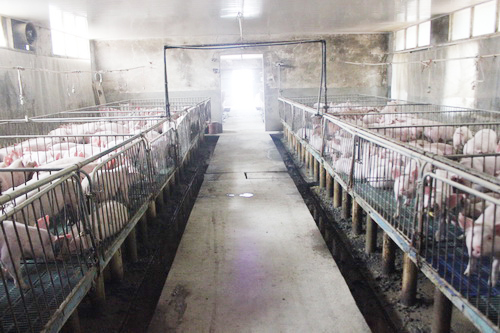 �����ƺ������ִ�����ȴҲ�ɾ�������