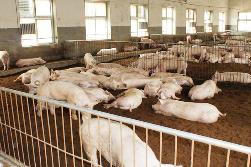 �����������ִ����̶�������ߣ�ͼΪ�����ʹ�-���ŷš����䣬�������������������