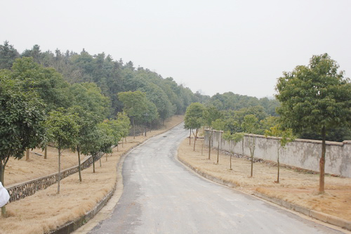 ���������롰һ��Ժǽ�����·�����һ����̬��԰