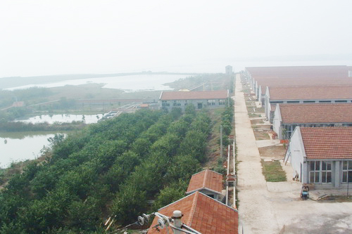 ������������,��������������,Զ�������Ӻ���������Ļ���