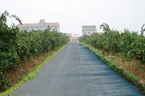 �������е���ӭ����ֱ�ĵ�·��ͷ����ԭ��һ���ġ�����Ժǽ��