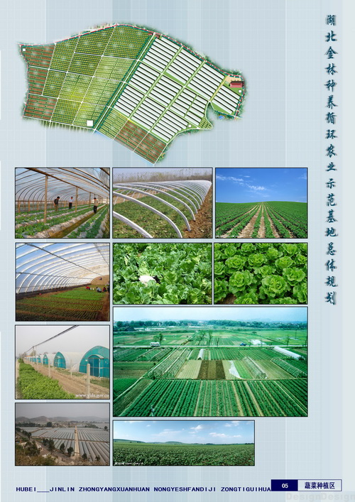 �������ֵ����������̬ũҵ�滮ͼ