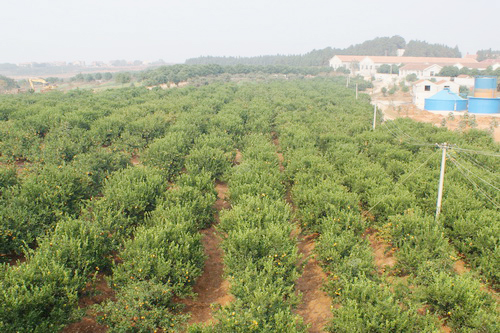 Χ�����ĸ�����