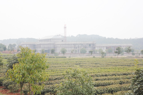 ��Ҫ�깤���Ʋ賵��