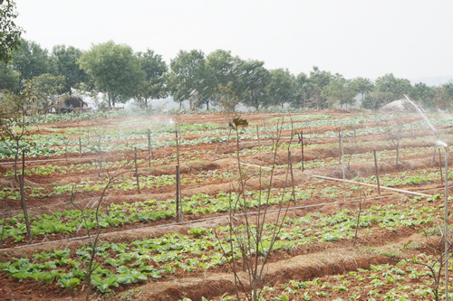 200��Ķ�л��߲���