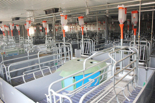 �ִ����������豸