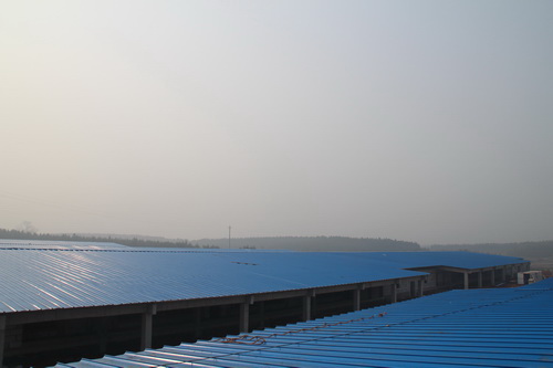 ����������ʾ��