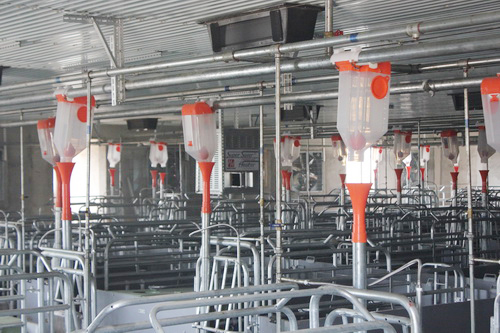 ȫ�Զ���ιϵͳ���������ϵͳ