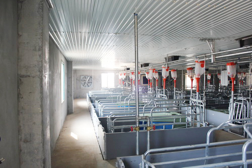 ȫ�Զ���������ϵͳ