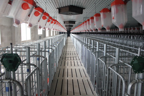 �Զ����̶ȸߵ���λ��