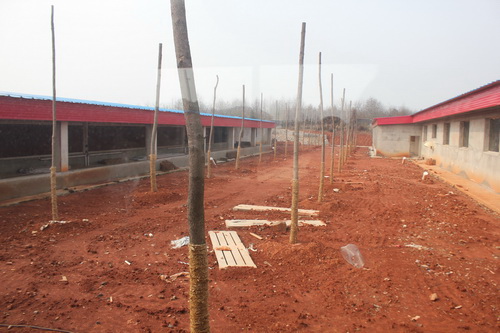 �³������˽��֡������������ĸ߱�׼���������40��<!--������ֲ��ľ�γɸ���-->