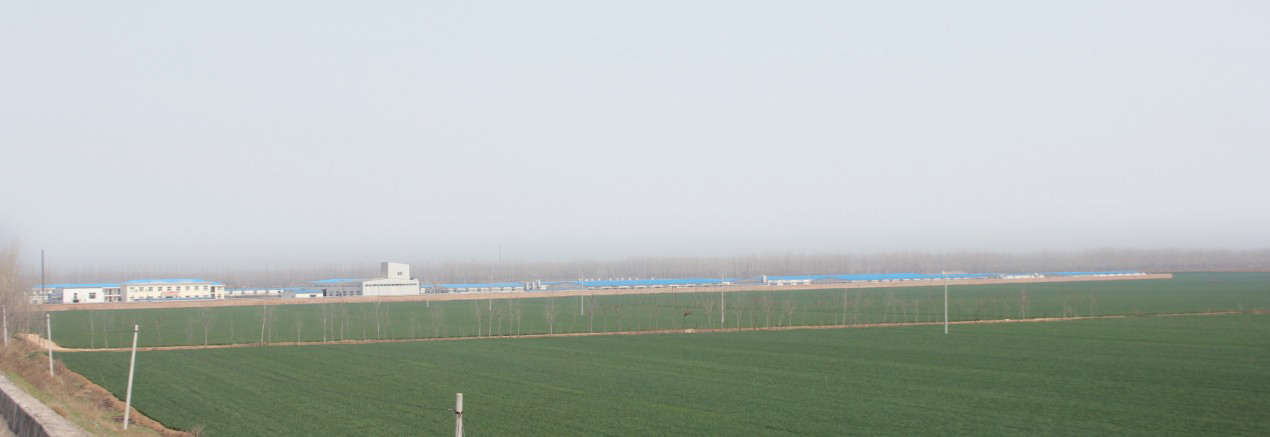 Զ��������Ỵ���ֹ�˾