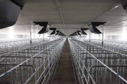 ��������Զ��¿�ϵͳ