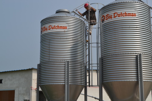 �Զ�������