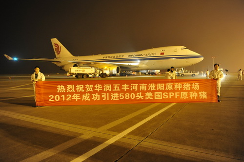 ����˳���ϲ��������ʻ���