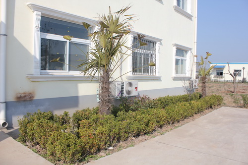 �����̻��ɹ�