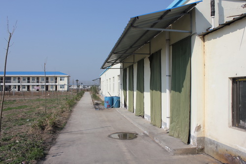 ������ϴ���