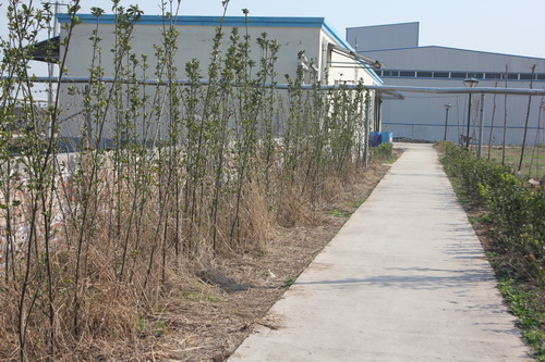 �̻�������Ч