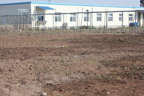 �̻�������