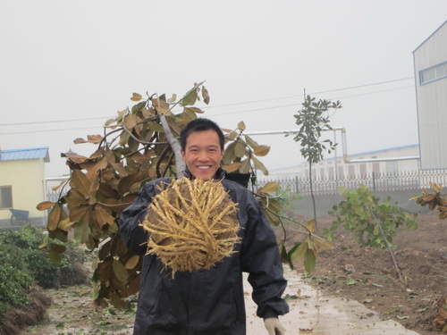 ���Զ����̻�