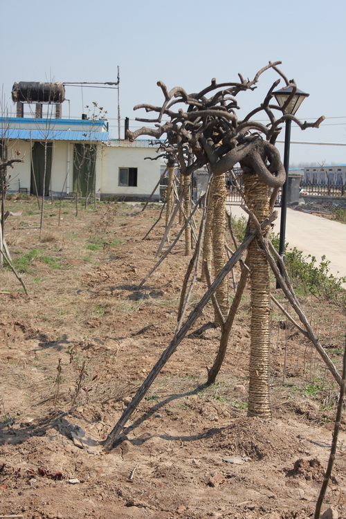 �³��̻��ֲ�