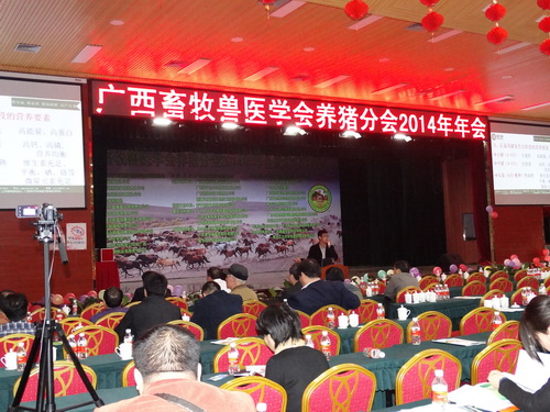 2014�����׳����������ۻ��ܼ���������