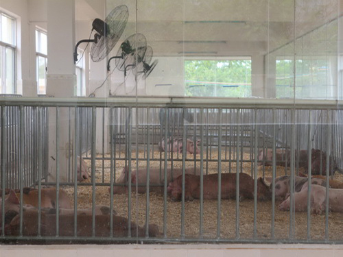 ���۹۲���