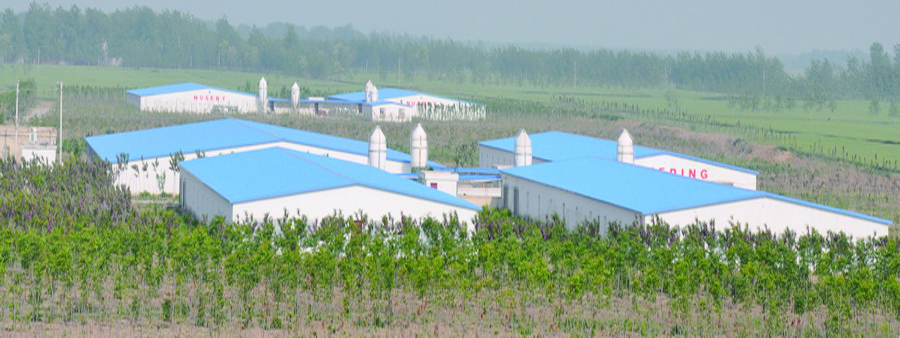 ���ĳ����