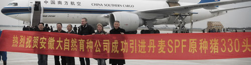 �״�����330ͷ��ϵ����