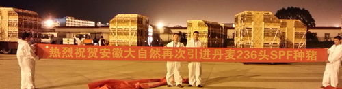 2013���ٴ�������ϵ����