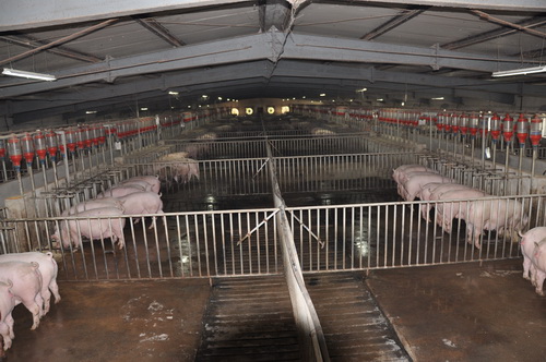 ���ڲ��龰